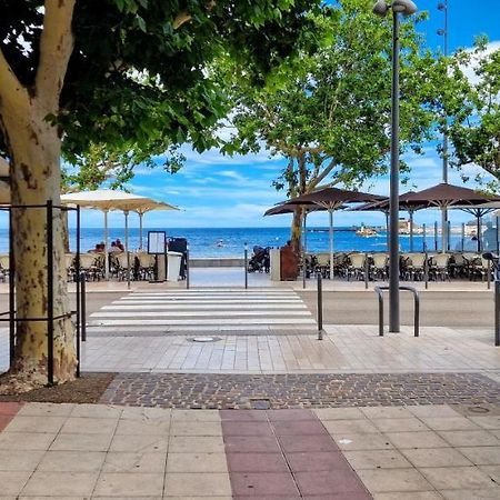 Appartement En Bord De Mer 3 バニュルス・シュル・メール エクステリア 写真
